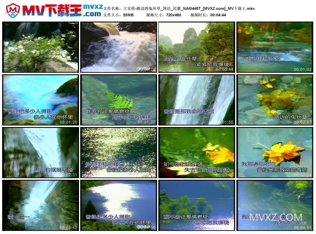 王宏伟-路边的兔丝草_国语_民歌_NAI04457